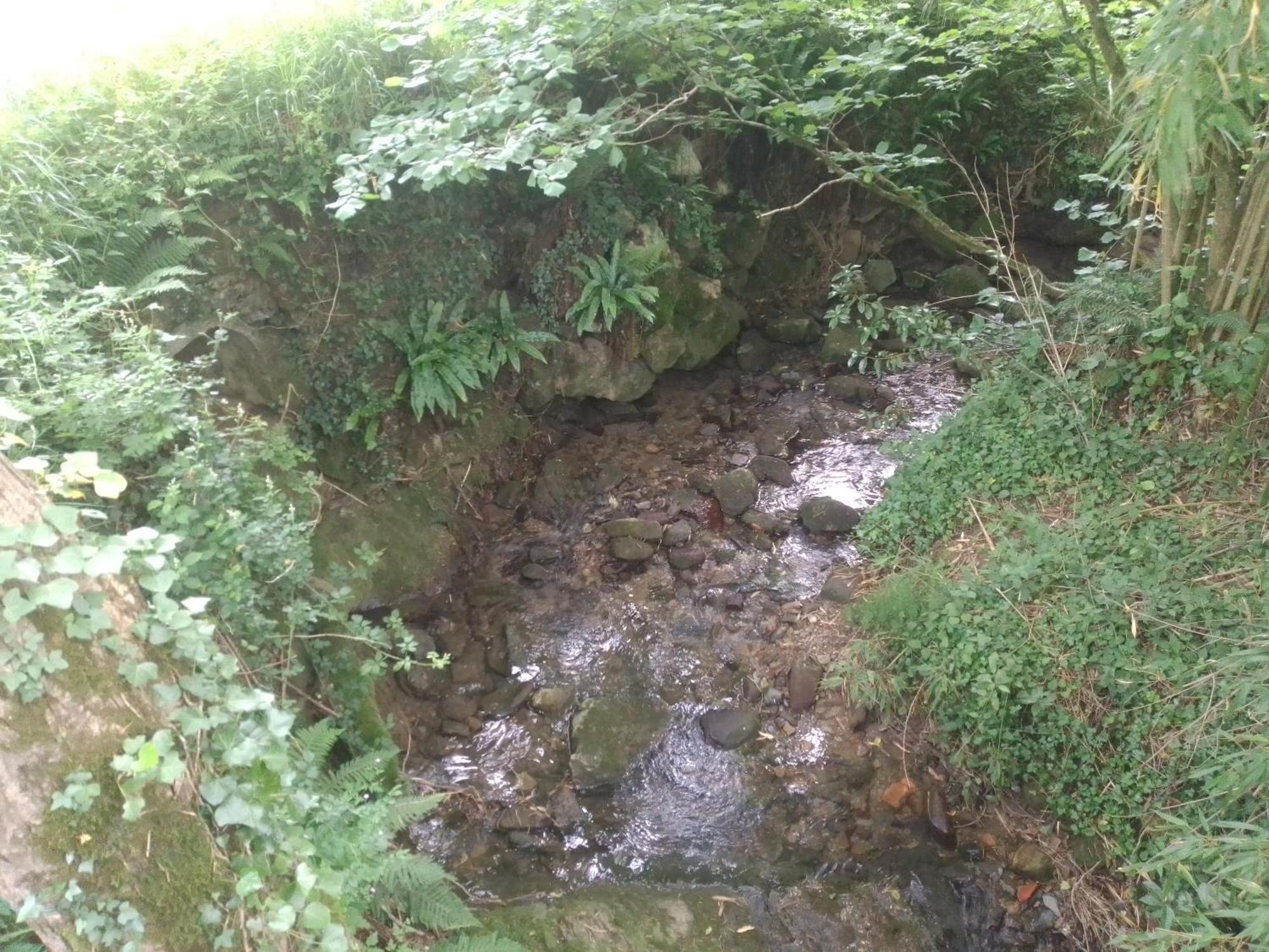 Séjour chez l'habitant Aitzkorri Zegama Arrieta (Burgos)